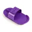 Shires Plastic Curry Comb - Purple